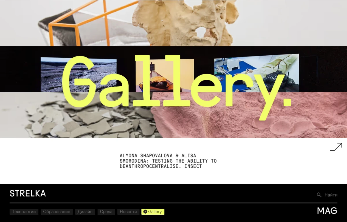 Strelka Magazine thumbnail