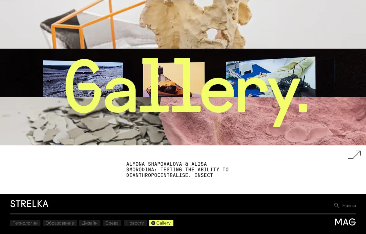 Strelka Magazine thumbnail